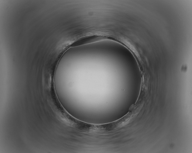 X0000094970109200712061437