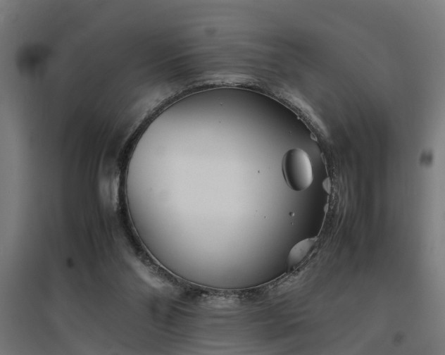 X0000094970110200712061437