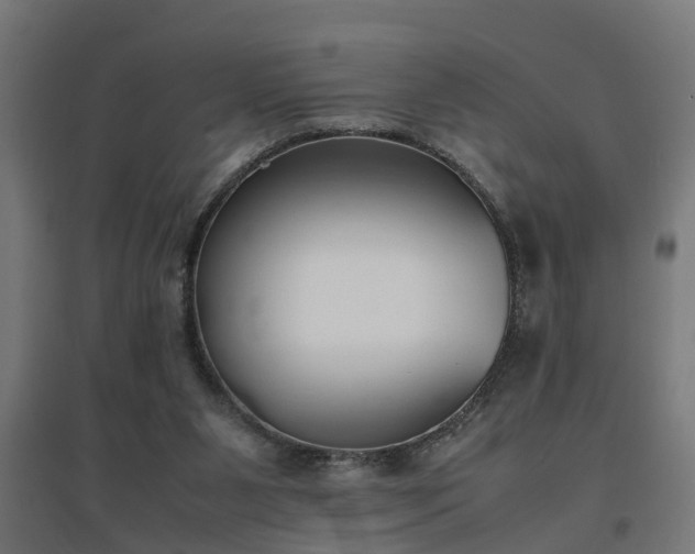 X0000094970111200712061437