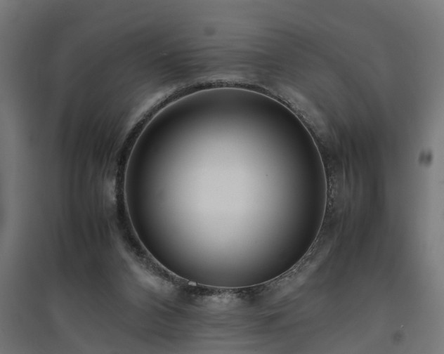 X0000094970112200712061437