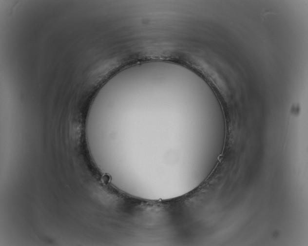 X0000094970113200712061437