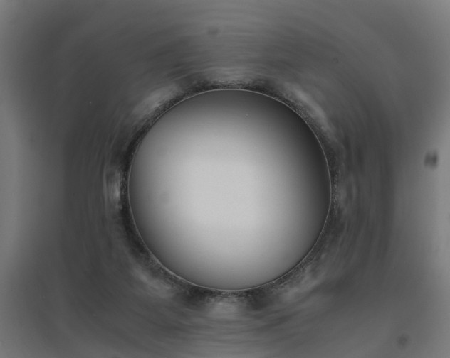 X0000094970115200712061437