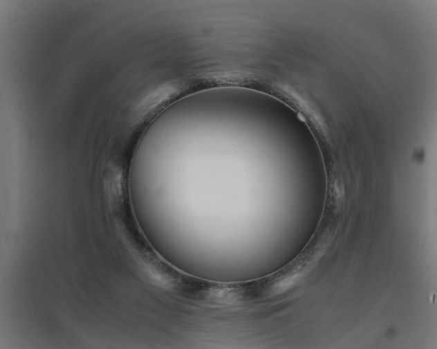 X0000094970117200712061437