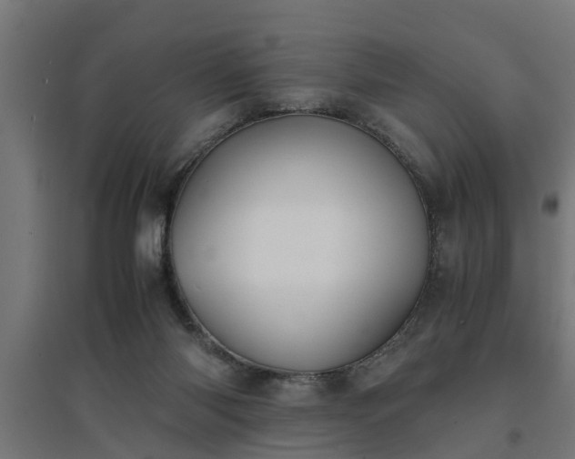 X0000094970118200712061437