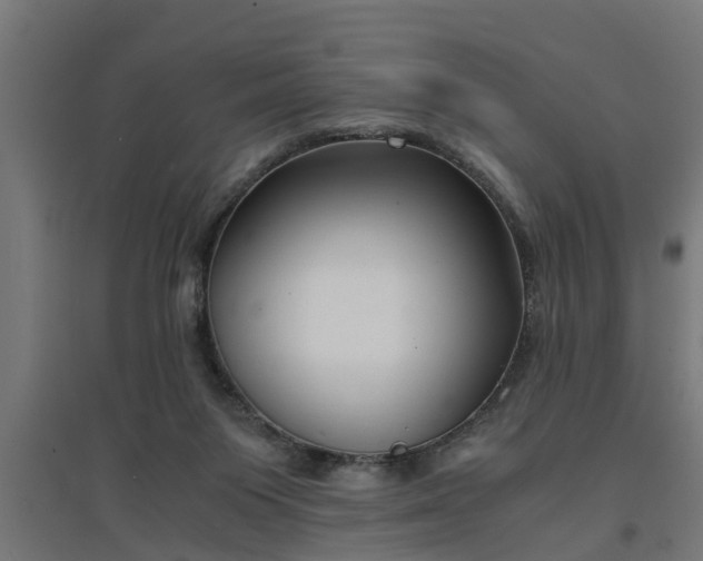 X0000094970119200712061437