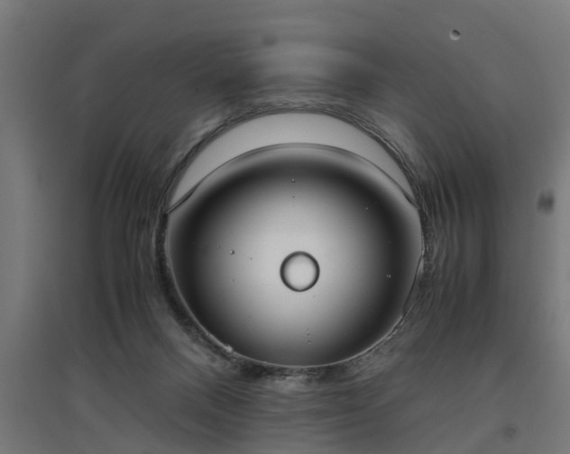 X0000094970120200712061437