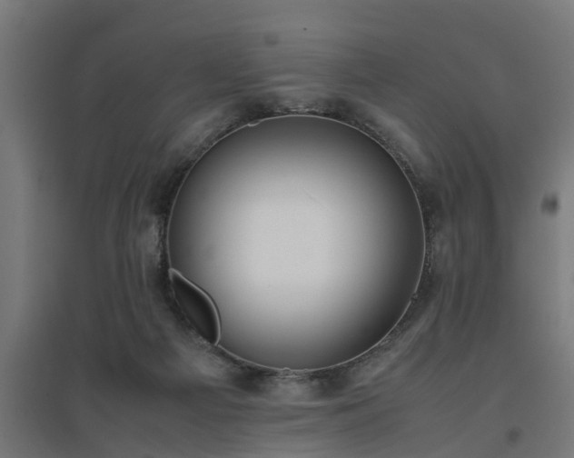 X0000094970121200712061437