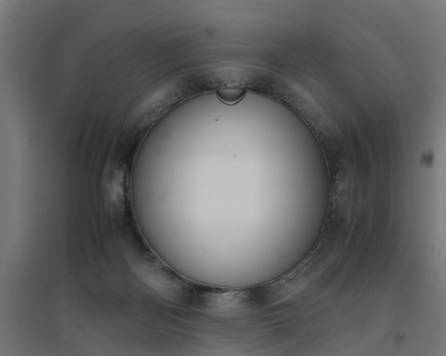 X0000094970122200712061437