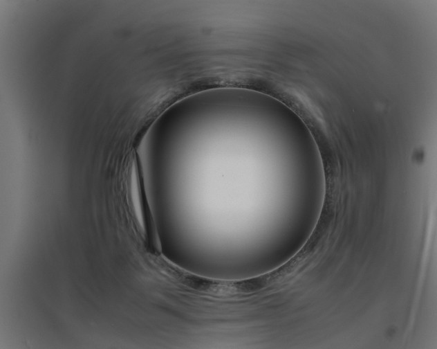 X0000094970123200712061437