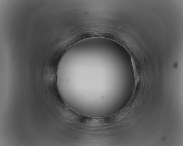 X0000094970129200712061437