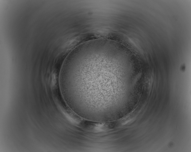 X0000094970130200712061437