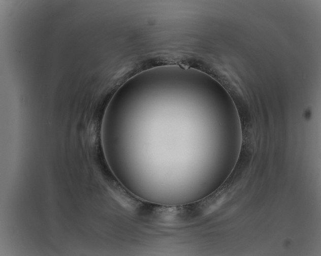 X0000094970131200712061437