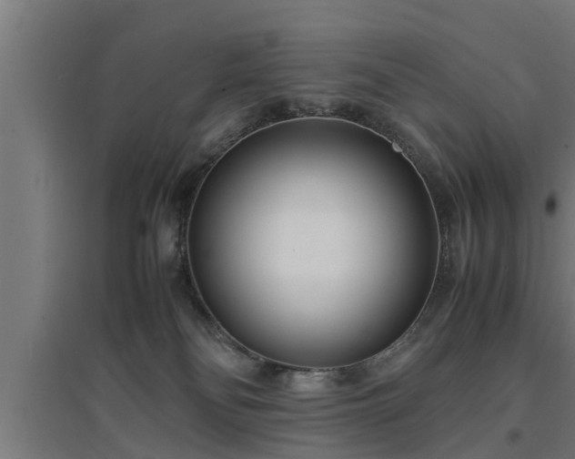 X0000094970134200712061437