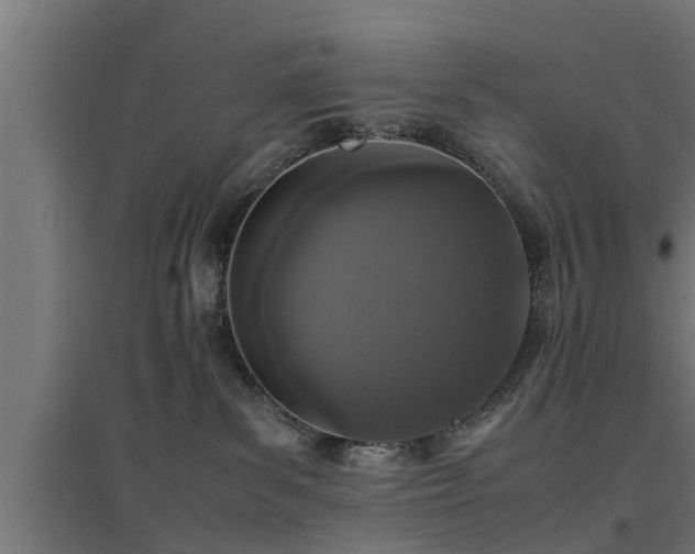 X0000094970139200712061437