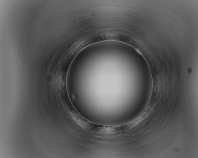 X0000094970140200712061437