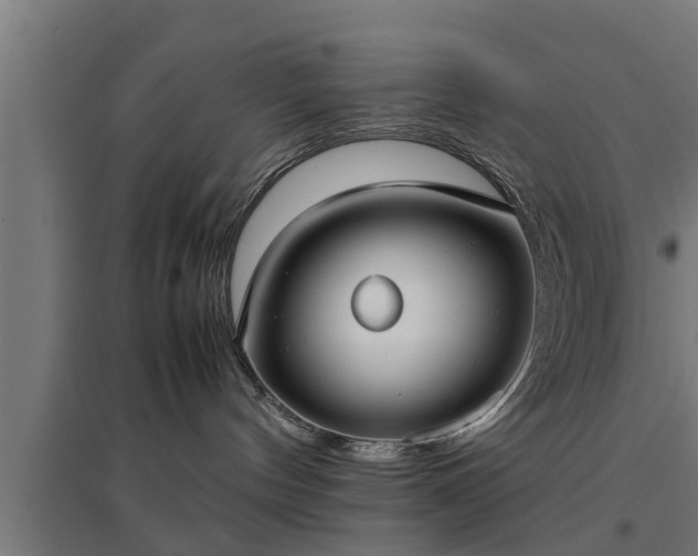 X0000094970144200712061436