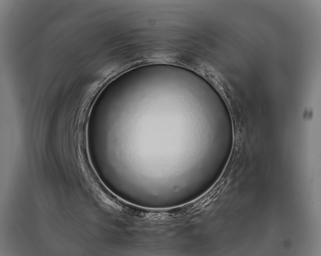 X0000094970145200712061436