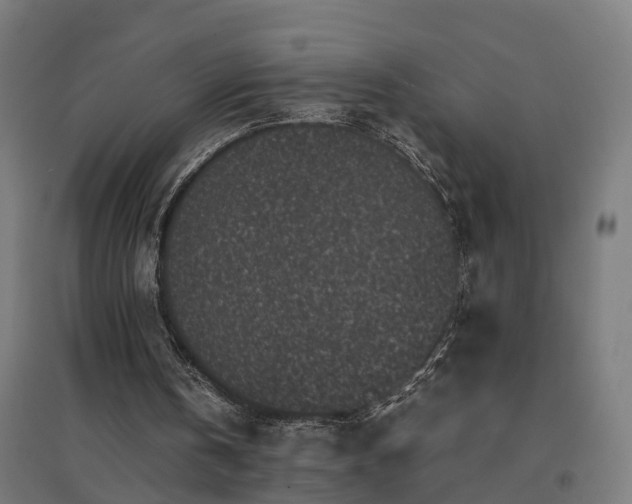 X0000094970146200712061436