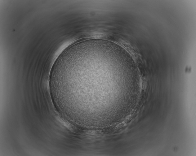 X0000094970147200712061436