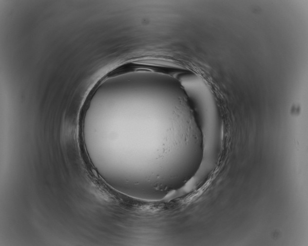 X0000094970148200712061436