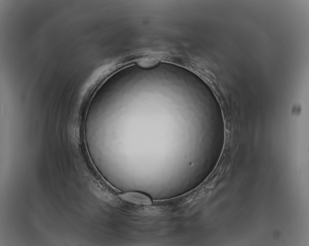 X0000094970149200712061436