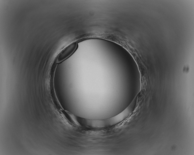 X0000094970150200712061436