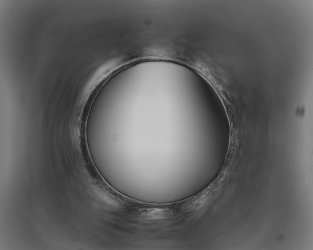 X0000094970151200712061436