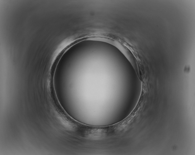 X0000094970152200712061436