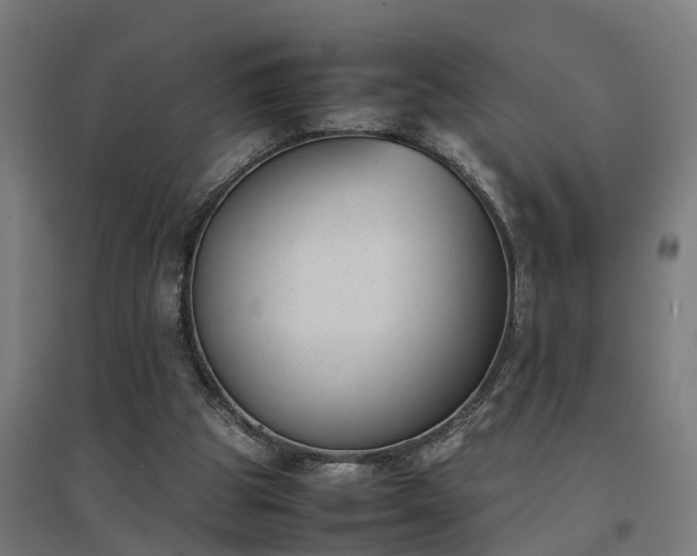 X0000094970153200712061436