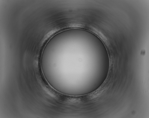 X0000094970155200712061436