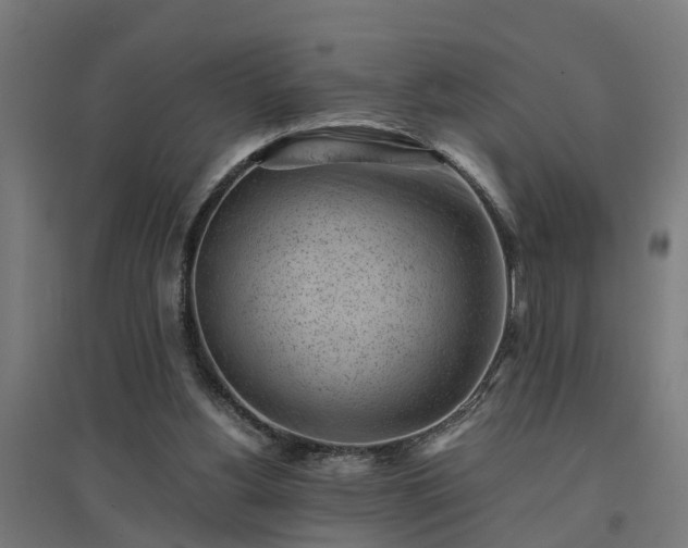 X0000094970156200712061436