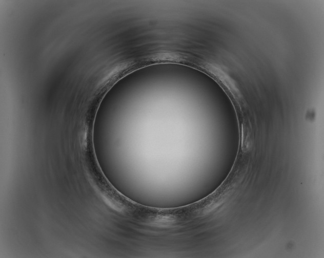 X0000094970157200712061436