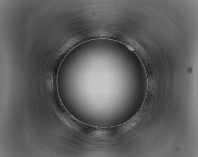 X0000094970158200712061436