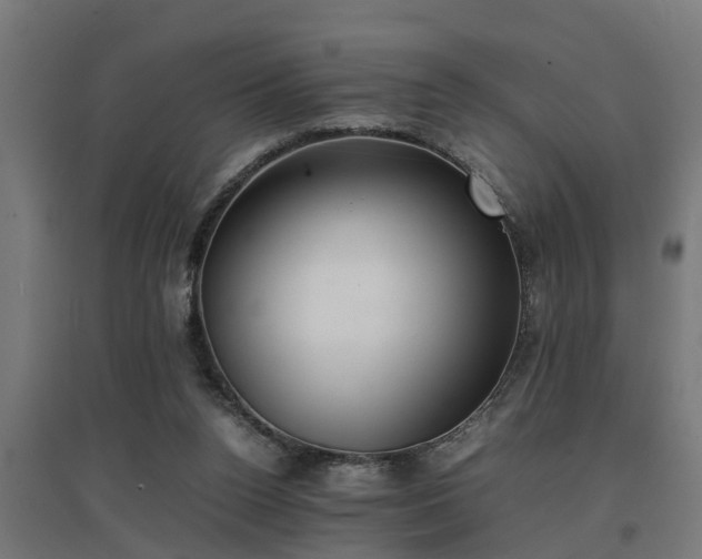 X0000094970160200712061436