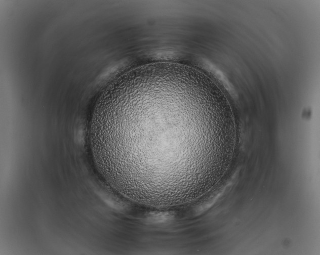 X0000094970161200712061436