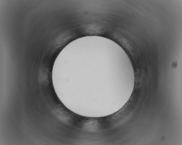 X0000094970162200712061436