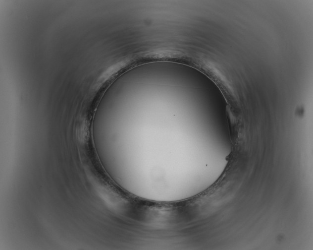 X0000094970164200712061436