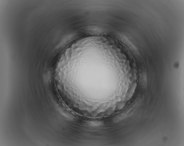 X0000094970165200712061436