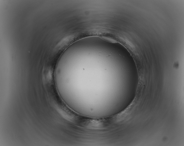 X0000094970166200712061436