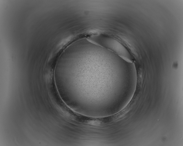 X0000094970168200712061436