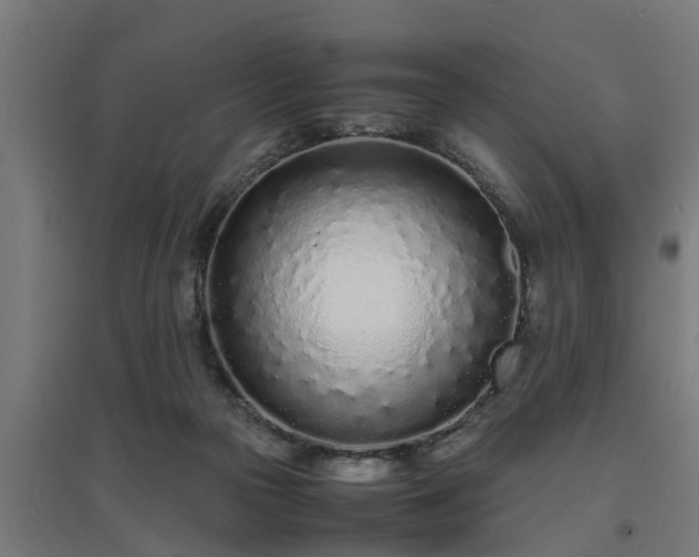 X0000094970169200712061436