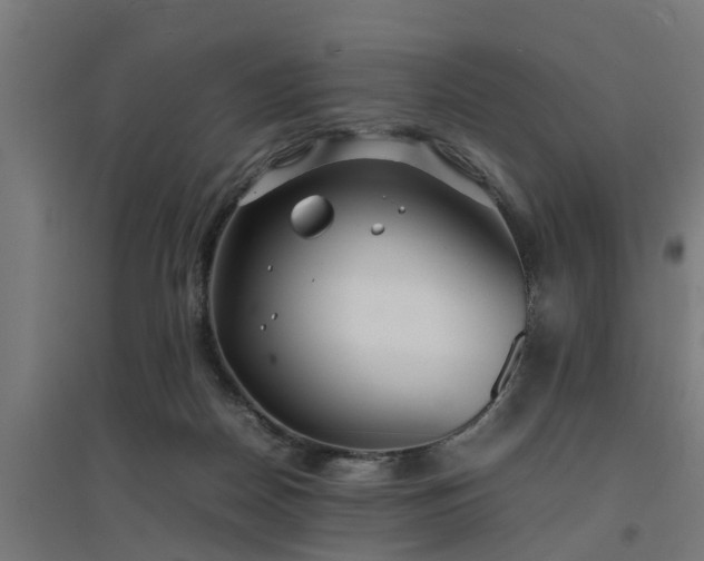 X0000094970170200712061436