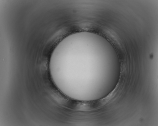 X0000094970174200712061436