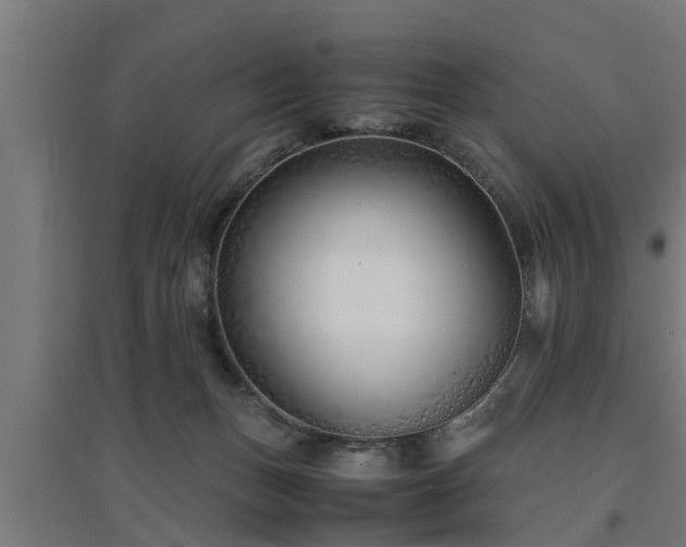 X0000094970175200712061436