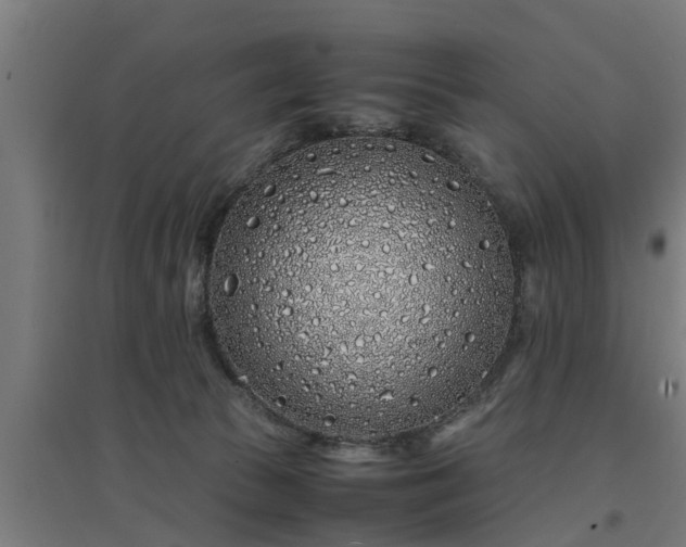 X0000094970177200712061436