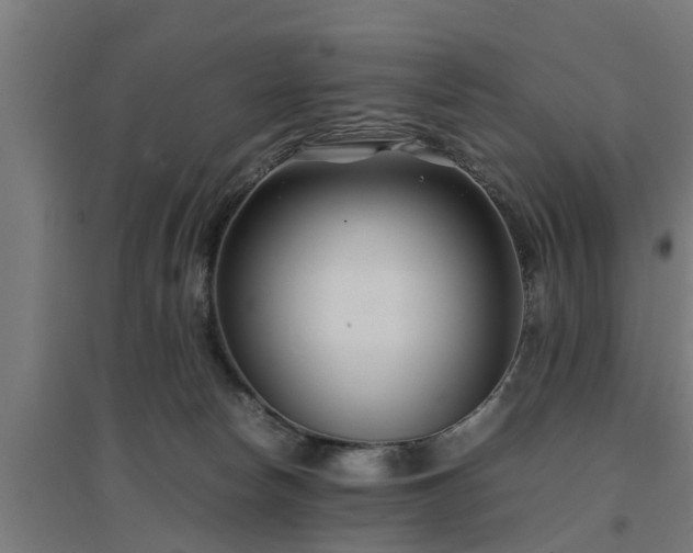 X0000094970178200712061436