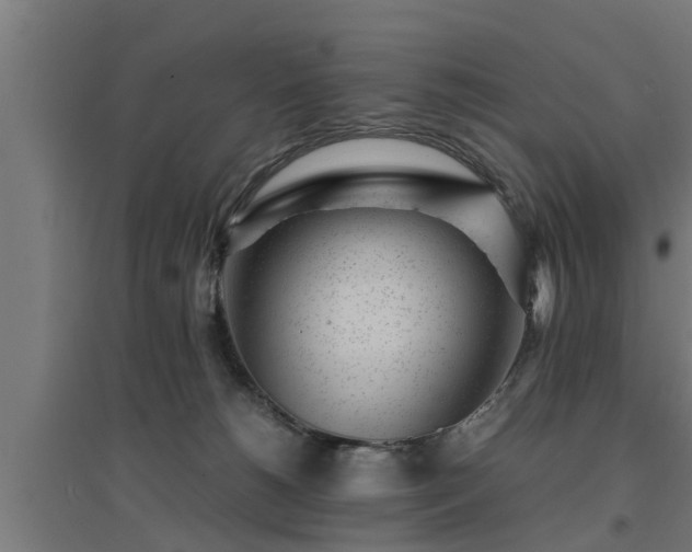 X0000094970180200712061436