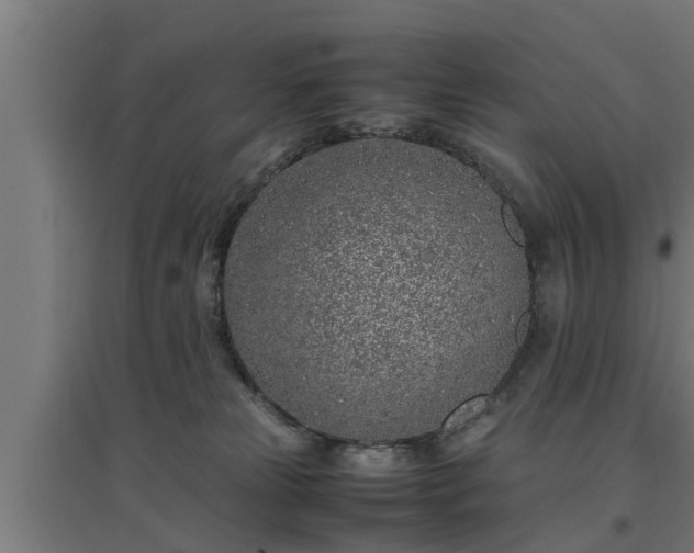 X0000094970181200712061436