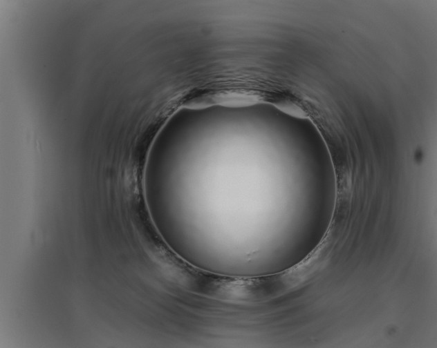 X0000094970182200712061436