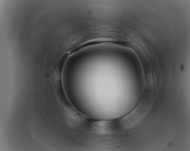 X0000094970184200712061436